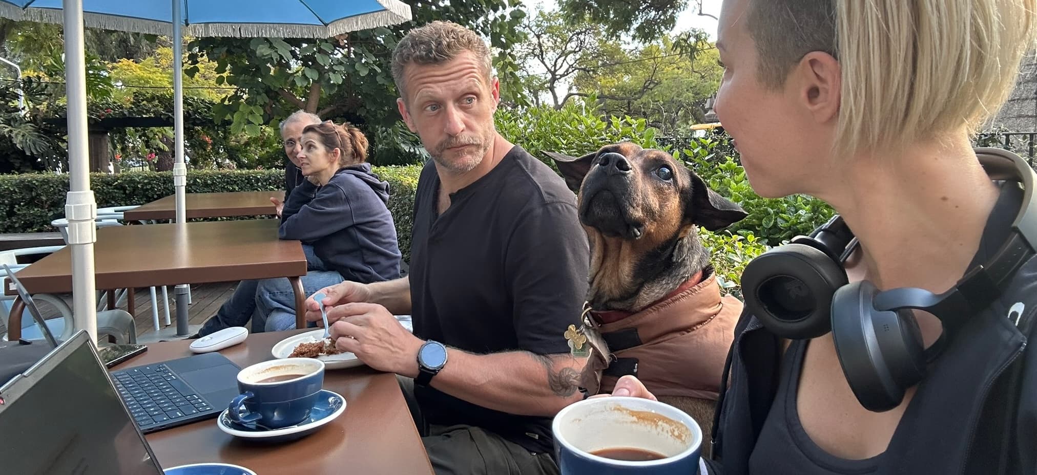 Rabies Controlled Countries