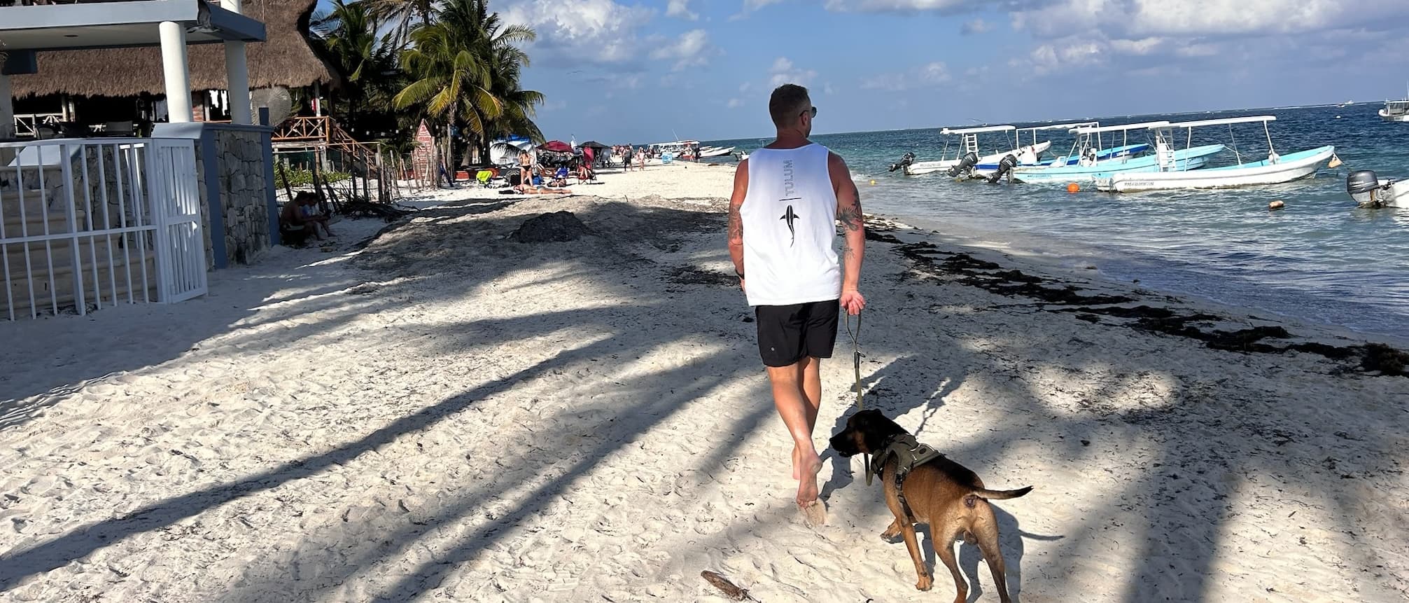 Pet Travel Made Easy: Top Tips for Stress-Free Journeys