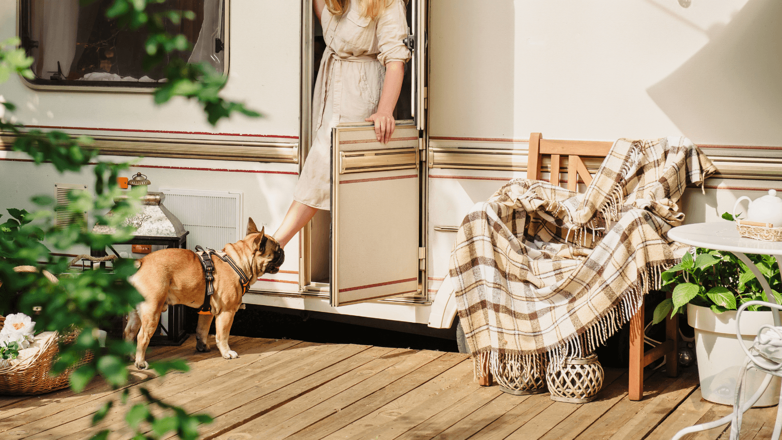 The Ultimate Guide to Pet-Friendly Camping and Travel with Your Pet