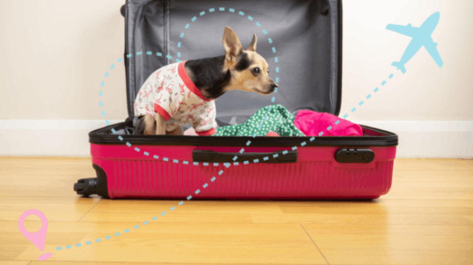 EU Rabies Classification: Rabies-Controlled vs. High-Risk Countries